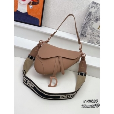 Dior Saddle Bags